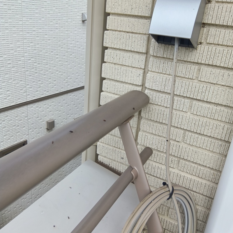 ベランダの手すりにフン