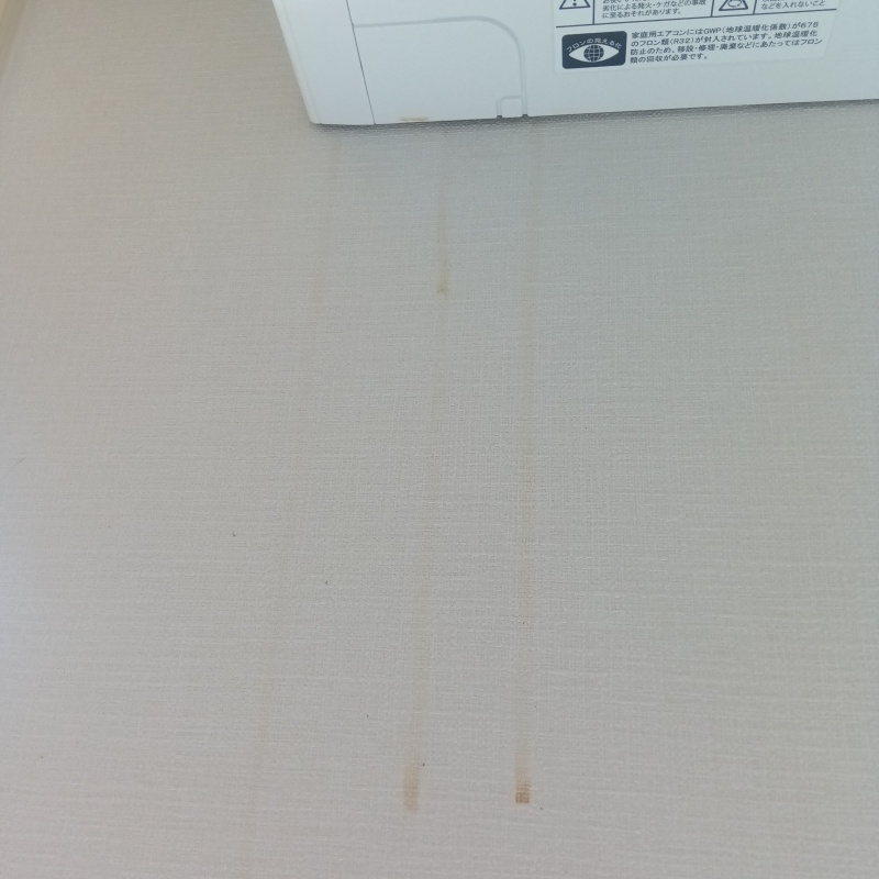 室内にフン尿の染み