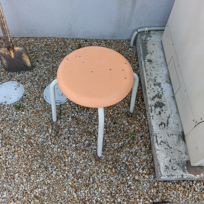 建物外周に散乱するコウモリのフン