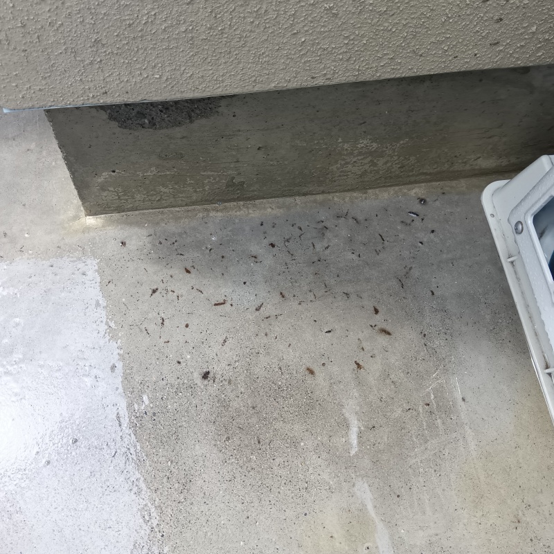 室外機まわりのフン