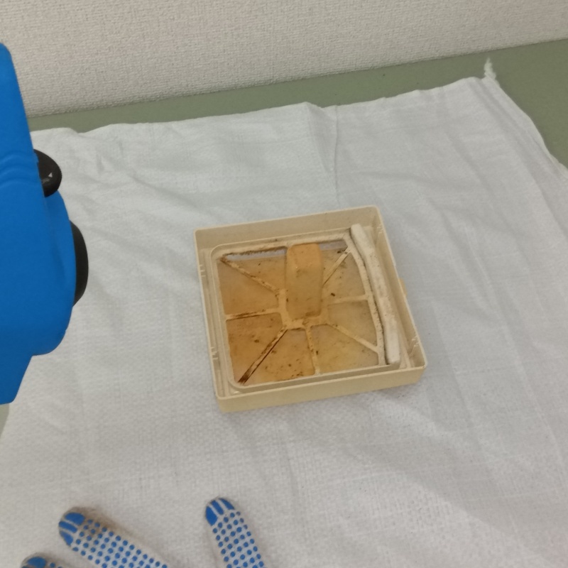 分解した換気扇に除菌剤を散布