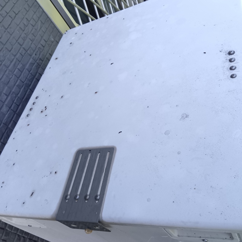 物置小屋の上にフン発見