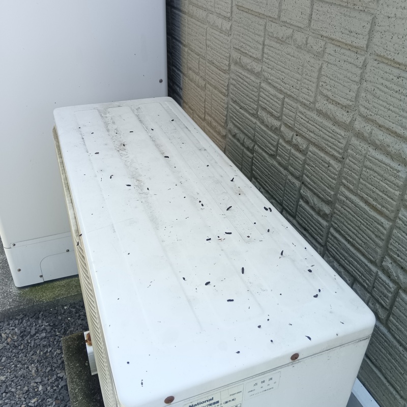室外機の上に散らばるコウモリのフン