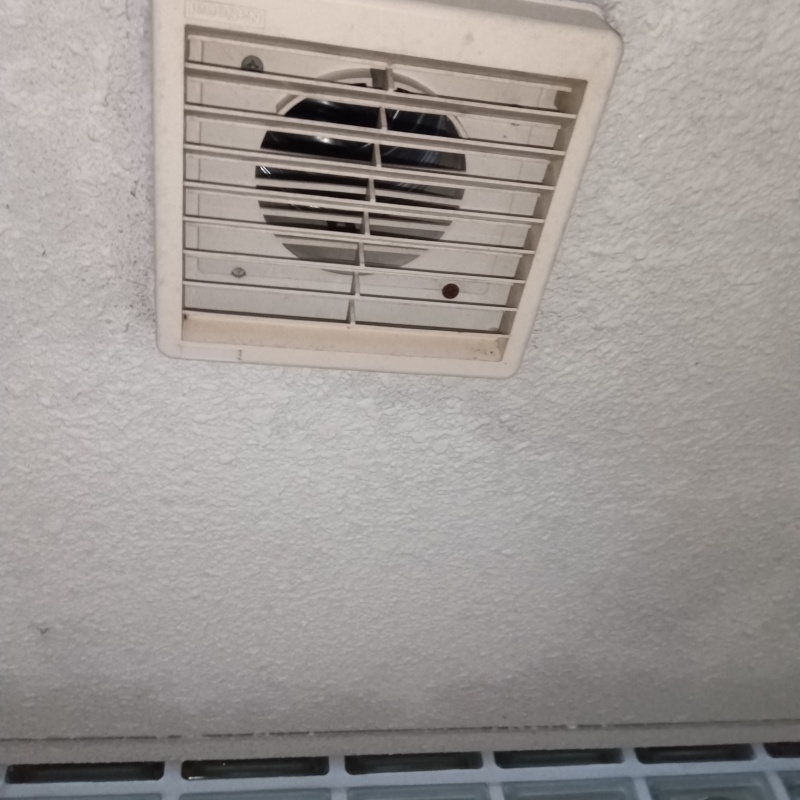 コウモリが出入りしている換気扇