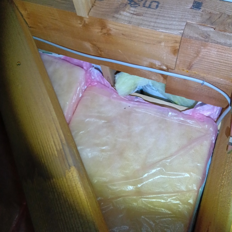 フン害がなくきれいな状態の屋根裏
