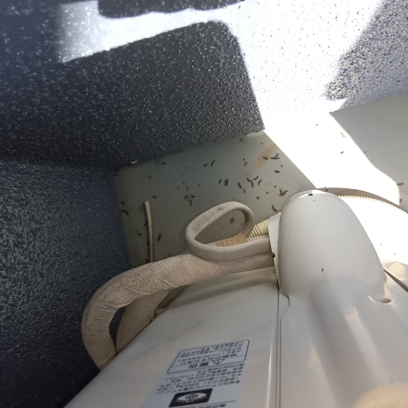 室外機まわりのフン