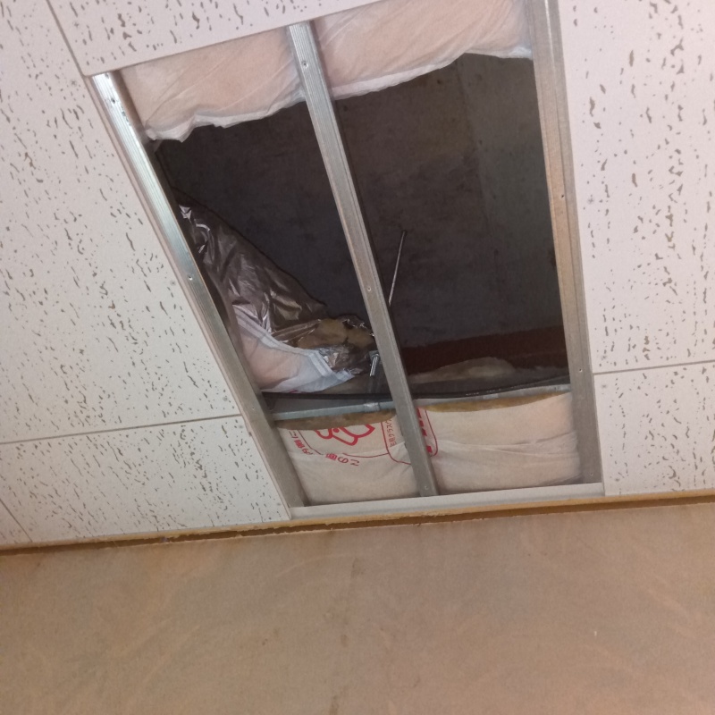 調査に使う天井の点検口