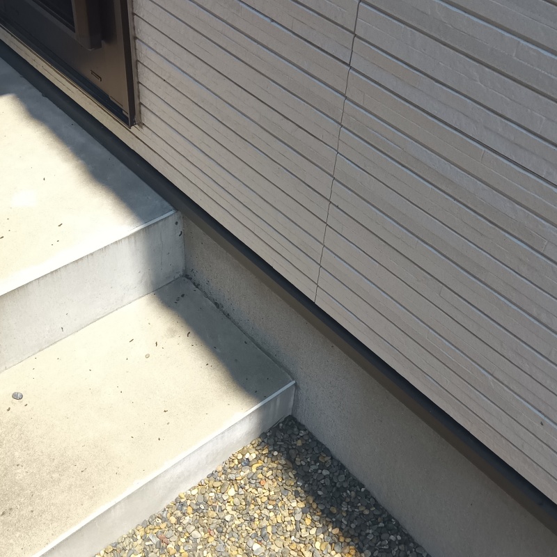 玄関前に落ちているフン