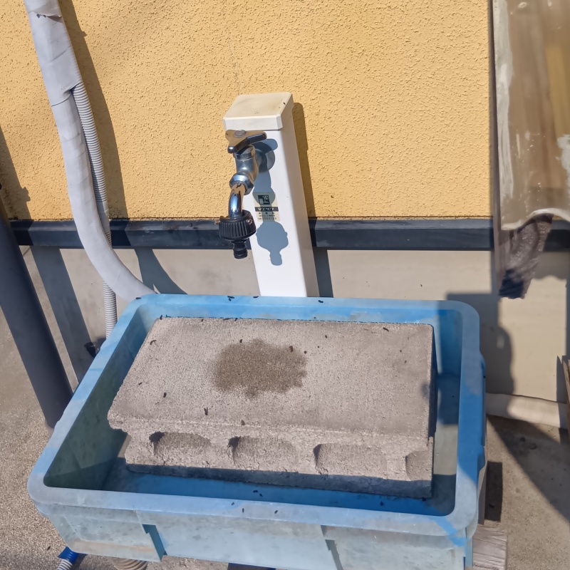 屋外の水道まわりのフン害