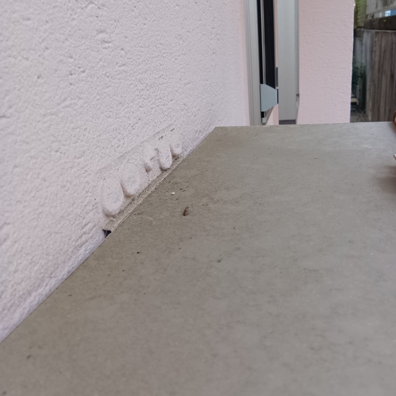 ひさしの上のフン