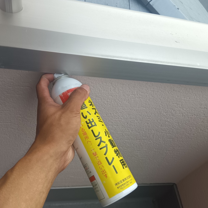 軒下のすき間から忌避剤をスプレー