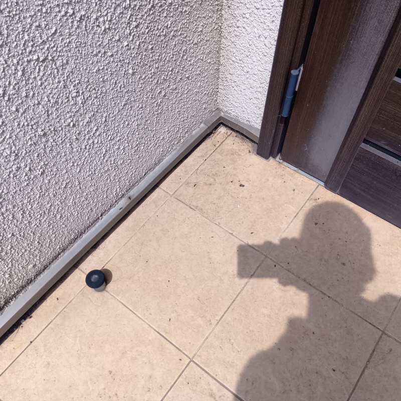 玄関ドア付近に落ちているフン