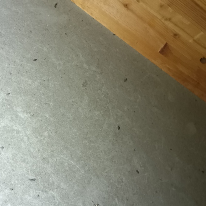 フンが散乱している