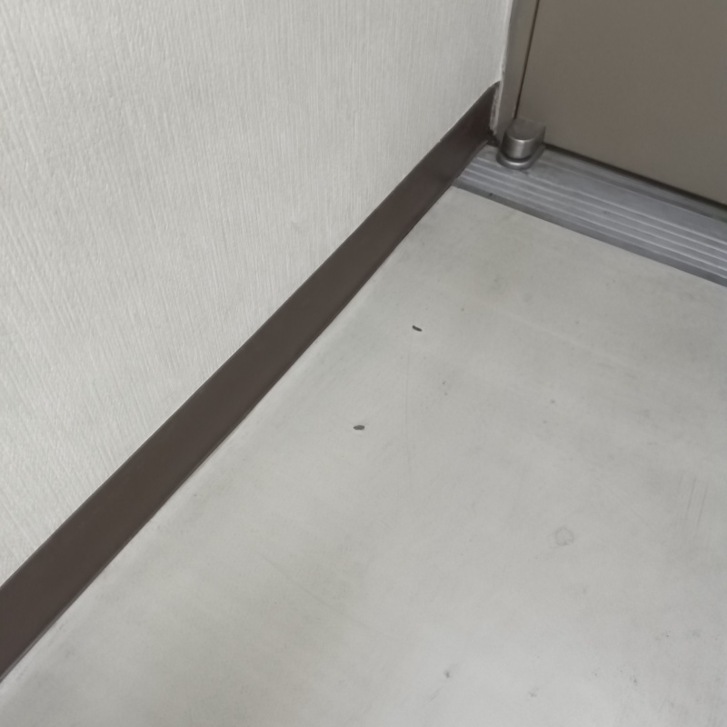 室内に落ちていたフン