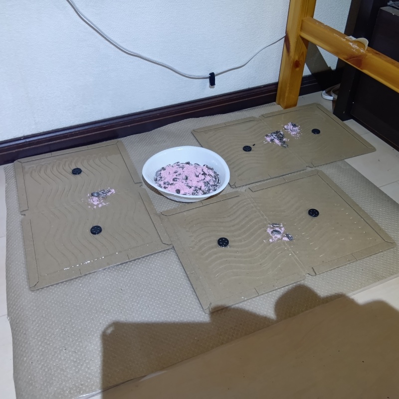 殺鼠剤のまわりに粘着シートを設置