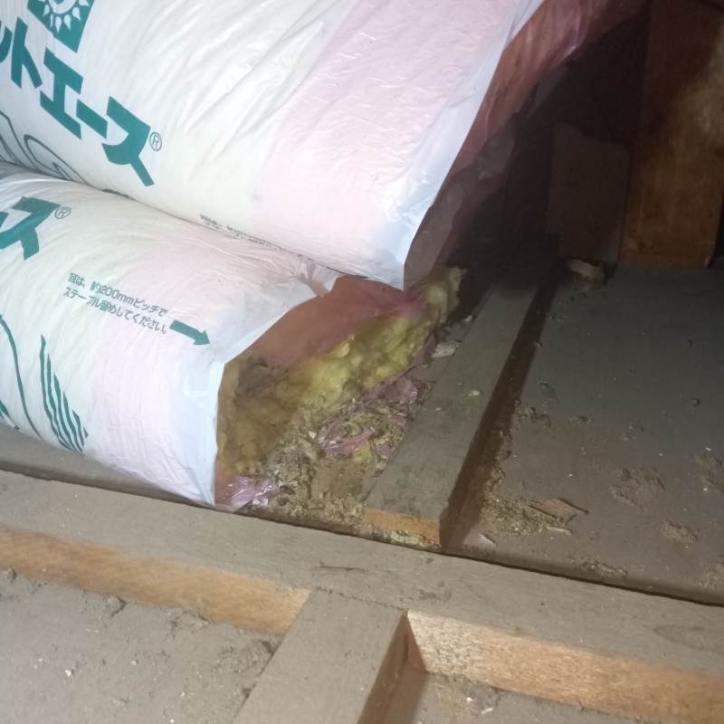 千葉県船橋市咲が丘でネズミ発生！戸建ての天井裏の断熱材が食い破られていた事例