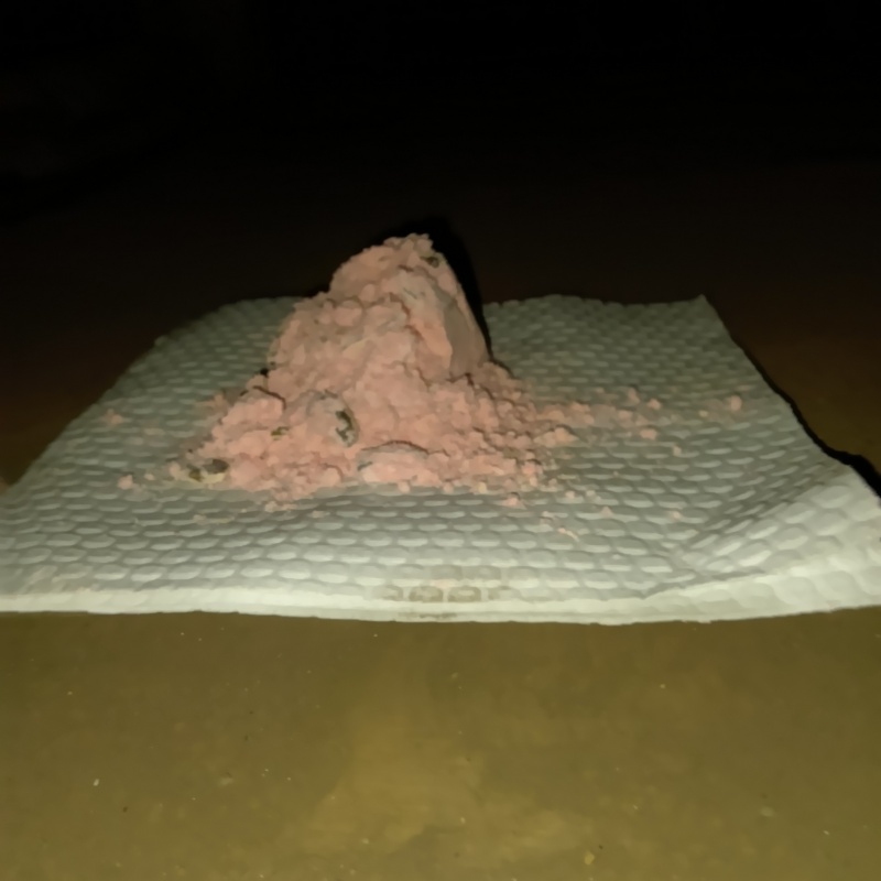 たっぷり盛った殺鼠剤