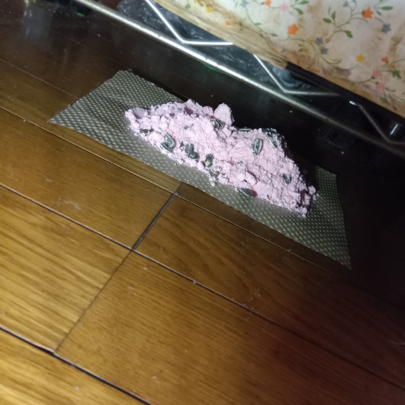 殺鼠剤を設置