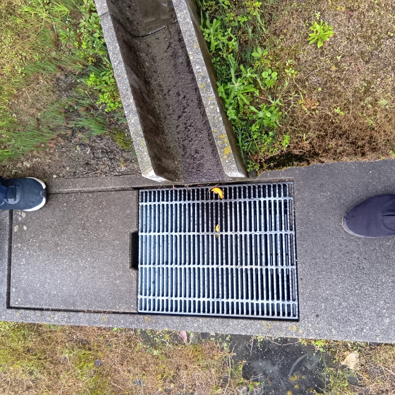 侵入経路になりやすい排水溝