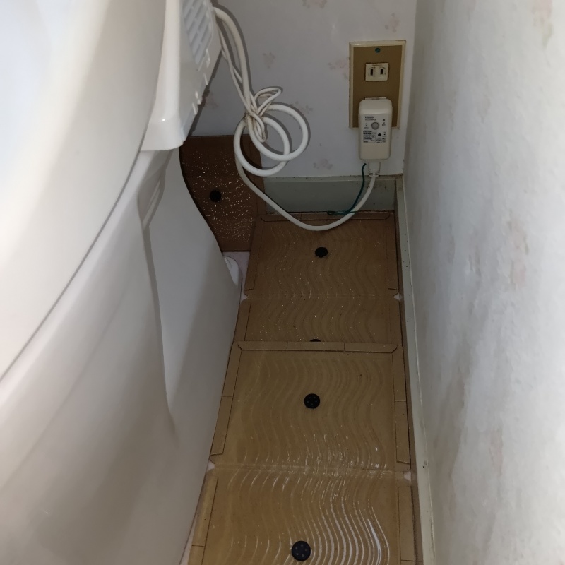 宮城県仙台市泉区館でネズミ発生！戸建てのトイレから天井裏まで活動範囲を広げていた事例