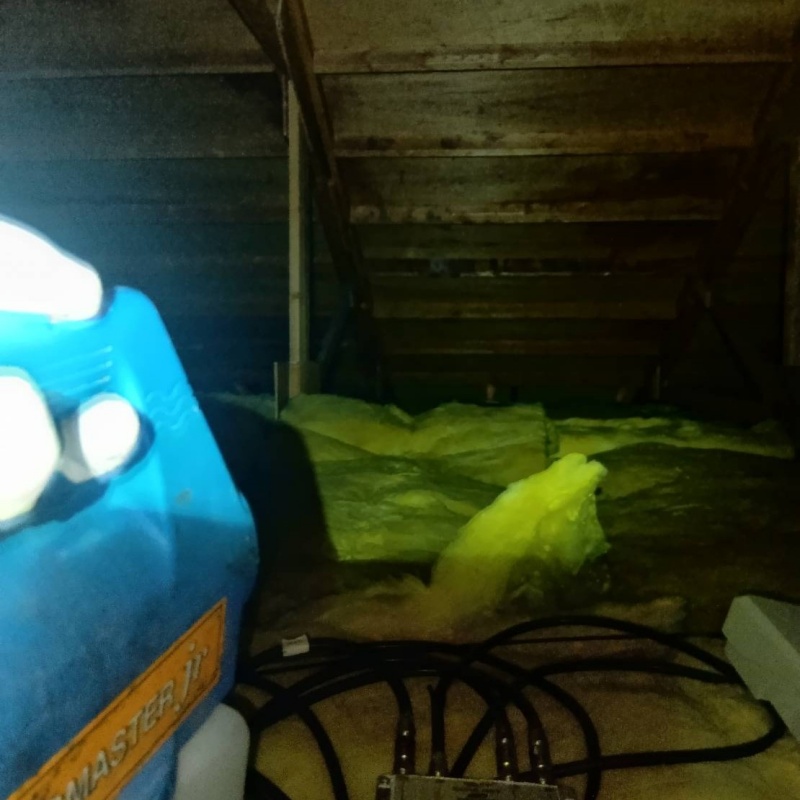 岐阜県多治見市滝呂町で5年前から被害!築30年の戸建ての2階トイレの換気扇から鳴き声が聞こてえていた事例