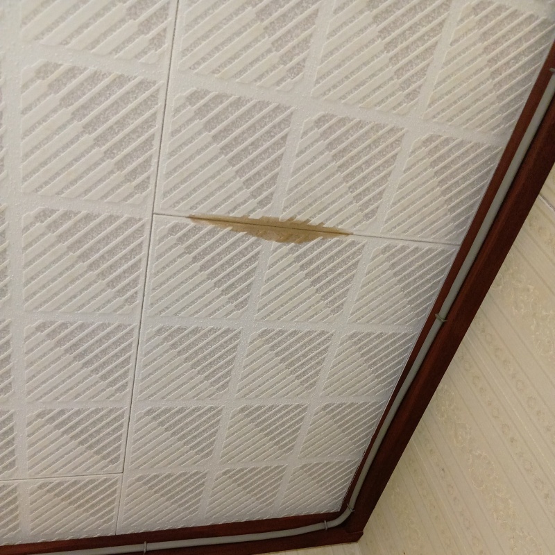 天井にフン尿の染み