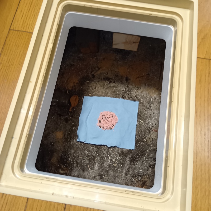 床下に殺鼠剤を設置