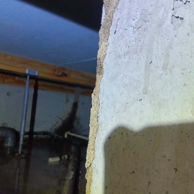 床下に蟻道を確認