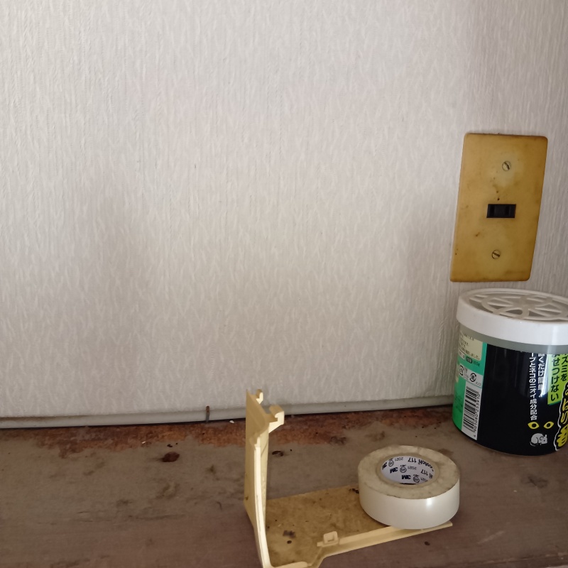 壁際に残されたフン