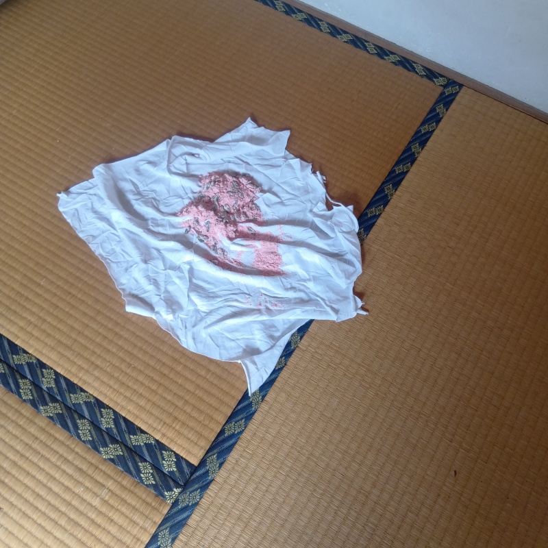 調査時に設置した殺鼠剤をネズミが食べたあと