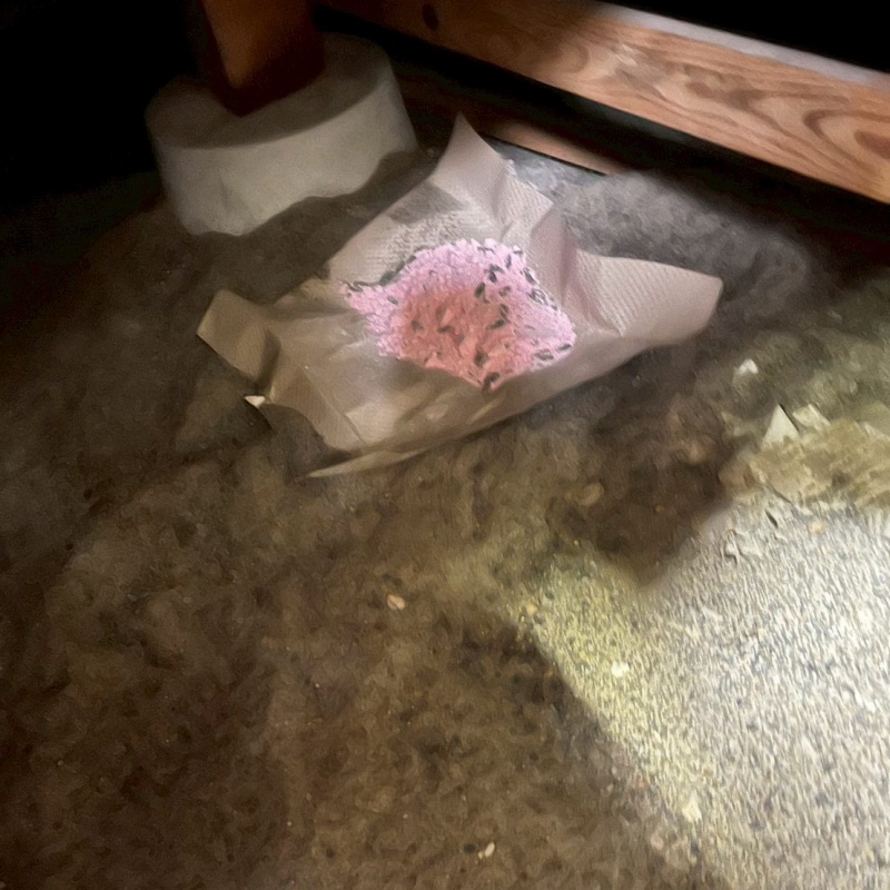 富山県黒部市古御堂で屋根裏にフン害!戸建てのキッチンでネズミが出没した事例