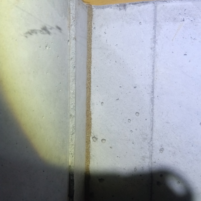 床下に蟻道を確認
