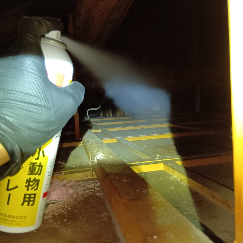 忌避剤をスプレー