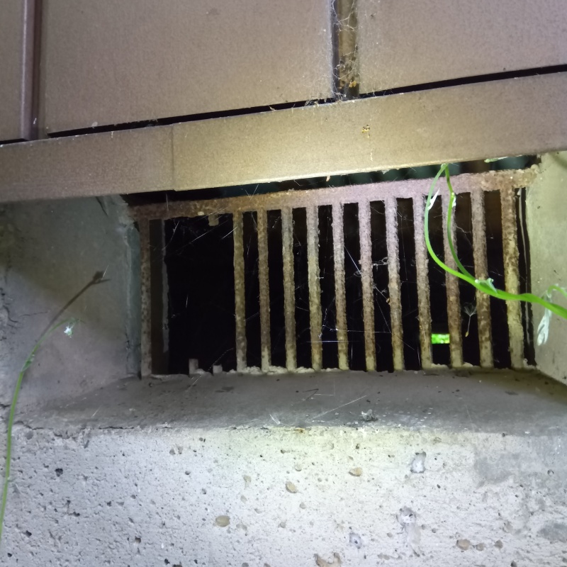 侵入口になりそうな床下通気口