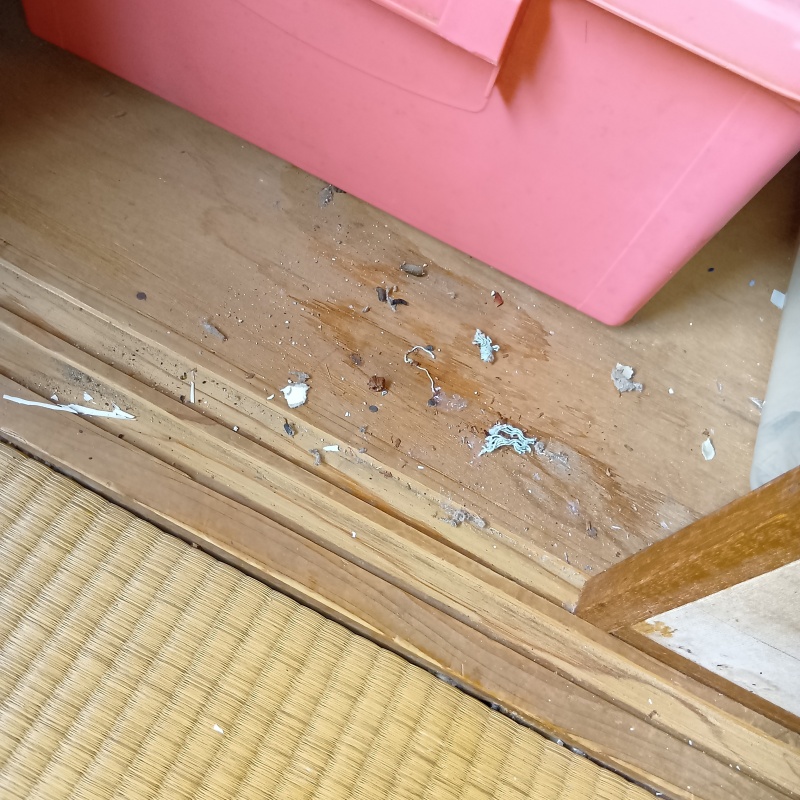 長崎県長崎市大手で駆除施工!ネズミにかじられる被害に遭った戸建て住宅の事例