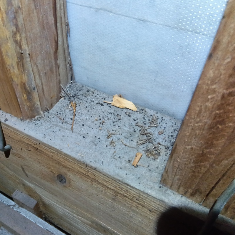 宮崎県都城市一万城町でネズミ出没！戸建てのエアコン裏に潜みしっぽだけ見えていた事例