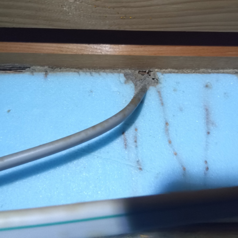 床下基礎が傷んでいる様子