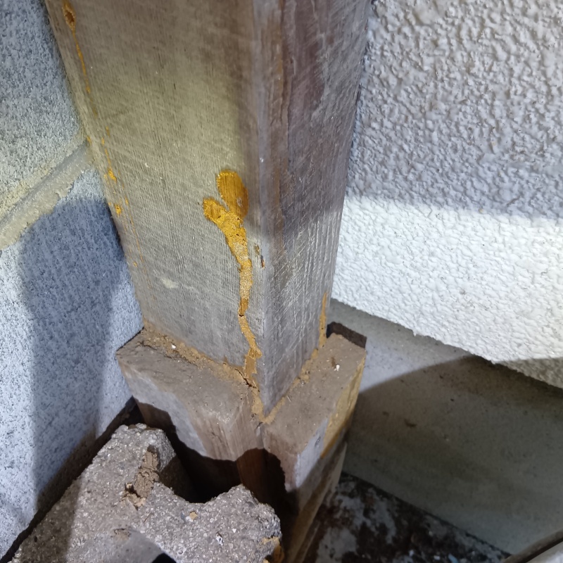 柱に残された蟻道の跡