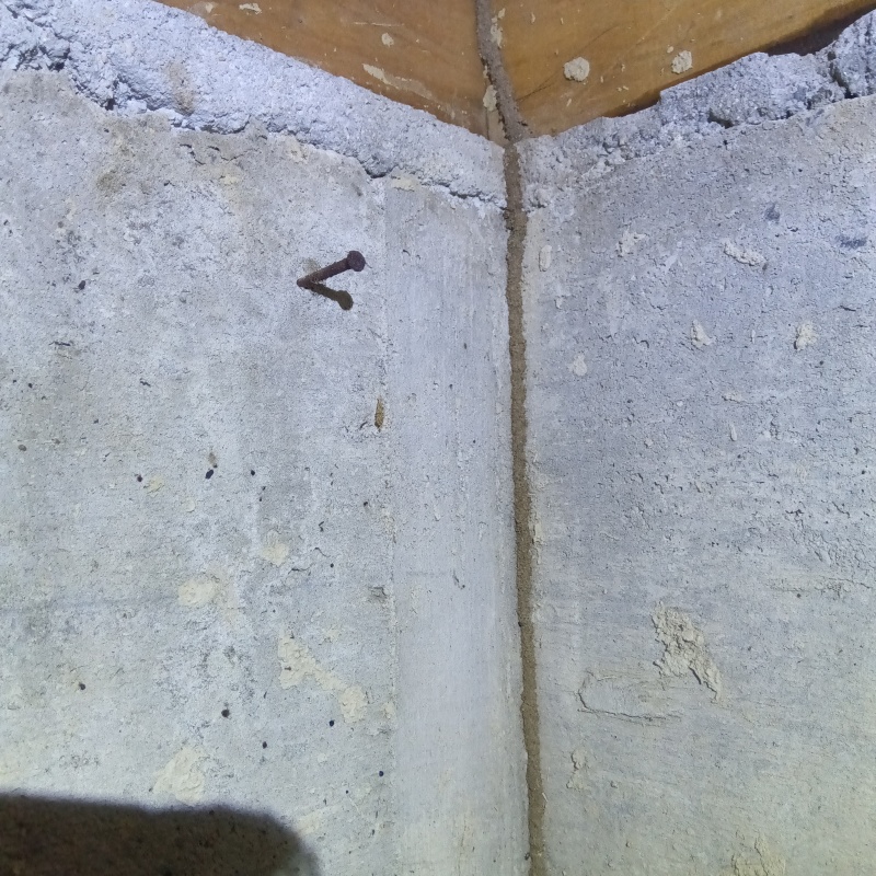床下の基礎に作られたシロアリの蟻道