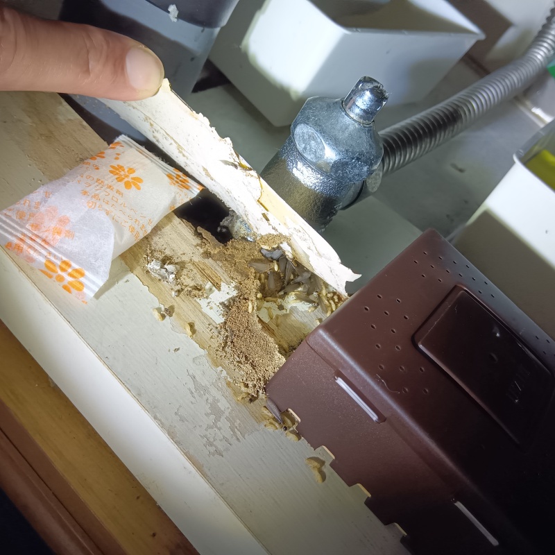 洗面台の木部に作られたシロアリの蟻道