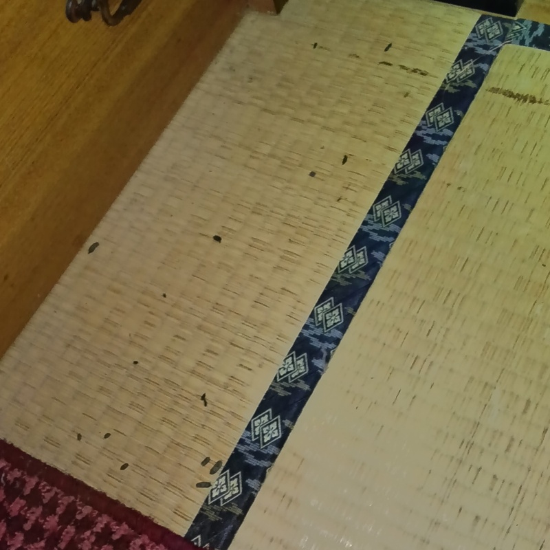 福島県いわき市山田町塙沢でネズミ駆除!戸建ての畳や天井裏にフンが散乱していた事例