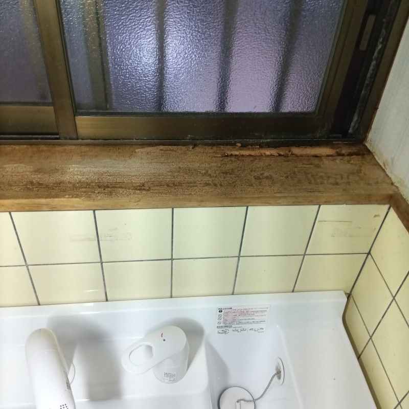 食害を受けた洗面所の木部