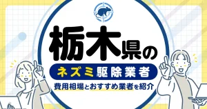 栃木県のネズミ駆除・対策業者比較9選！選び方や再発予防策も紹介