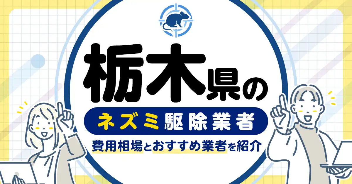 栃木県のネズミ駆除・対策業者比較9選！選び方や再発予防策も紹介
